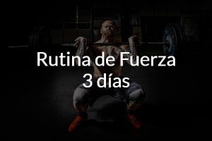Entrenamiento gym 5 dias